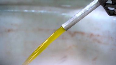 Fabrikada taze zeytinyağı işleme makineleri