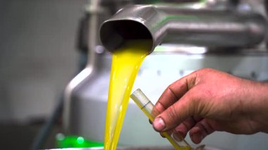 Fabrikada taze zeytinyağı işleme makineleri