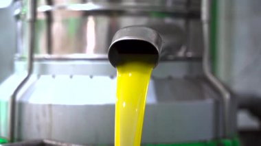 Fabrikada taze zeytinyağı işleme makineleri