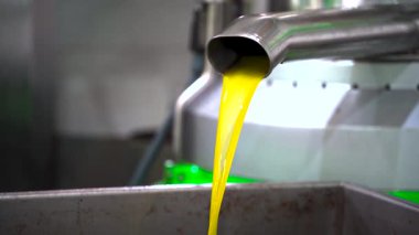 Fabrikada taze zeytinyağı işleme makineleri