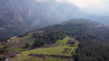 Manisa Spil Dağı 'ndaki orman alanının hava görüntüsü.