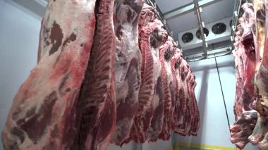 Bir mezbahanın soğutma deposunda asılı duran ölü inek eti.