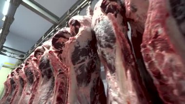 Bir mezbahanın soğutma deposunda asılı duran ölü inek eti.