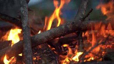 Kamp ateşinde ağır çekimde yanan ağaçların yakınına.