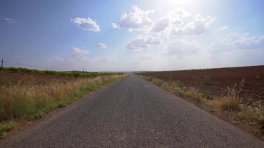 Güneşli havada tarım arazileri arasında asfalt yol