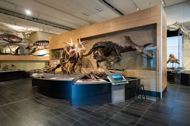 Kanada Doğa Müzesi 'ndeki dinozor iskeletlerinin iç görünüşü. Ottawa, Kanada - 15 Aralık 2025.