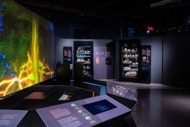 Kanada Doğa Müzesi 'ndeki Dünya Galerisi manzarası. Ottawa, Kanada - 15 Aralık 2025.