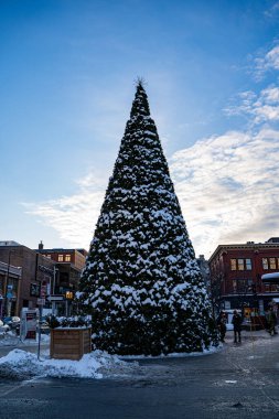 Kış boyunca Ottawa 'daki ByWard Market bölgesinde noel ağacı manzarası. Ottawa, Kanada - 14 Aralık 2025.