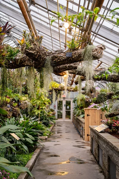Sallanan bitkilerle kapalı bir botanik bahçesi geçidi manzarası.