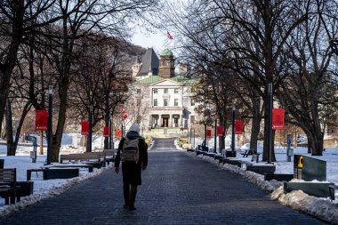 Montreal 'deki McGill Üniversitesi kampüs yolunun kış manzarası. Montreal, Kanada - 18 Aralık 2025.