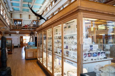 Redpath Müzesi içindeki mineral sergi salonunun görüntüsü. Montreal, Kanada - 18 Aralık 2025.