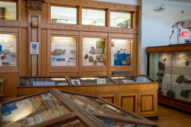 McGill Üniversitesi kampüsündeki Redpath Müzesi manzarası. Montreal, Kanada - 18 Aralık 2025.