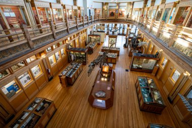 McGill Üniversitesi kampüsündeki Redpath Müzesi manzarası. Montreal, Kanada - 18 Aralık 2025.