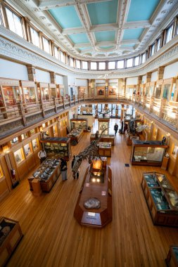 McGill Üniversitesi kampüsündeki Redpath Müzesi manzarası. Montreal, Kanada - 18 Aralık 2025.