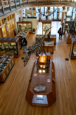 McGill Üniversitesi kampüsündeki Redpath Müzesi manzarası. Montreal, Kanada - 18 Aralık 2025.