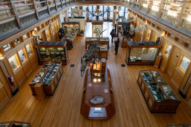 McGill Üniversitesi kampüsündeki Redpath Müzesi manzarası. Montreal, Kanada - 18 Aralık 2025.