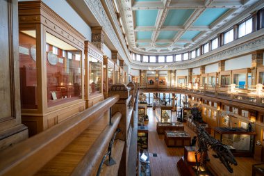 McGill Üniversitesi kampüsündeki Redpath Müzesi manzarası. Montreal, Kanada - 18 Aralık 2025.