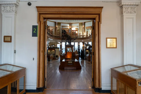 McGill Üniversitesi kampüsündeki Redpath Müzesi manzarası. Montreal, Kanada - 18 Aralık 2025.