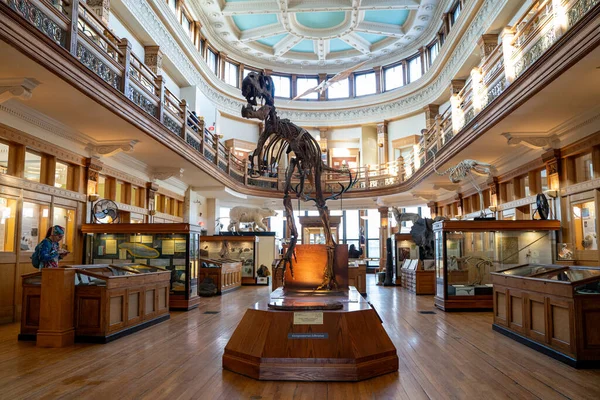 McGill Üniversitesi kampüsündeki Redpath Müzesi manzarası. Montreal, Kanada - 18 Aralık 2025.