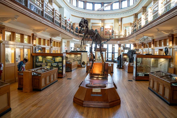 McGill Üniversitesi kampüsündeki Redpath Müzesi manzarası. Montreal, Kanada - 18 Aralık 2025.