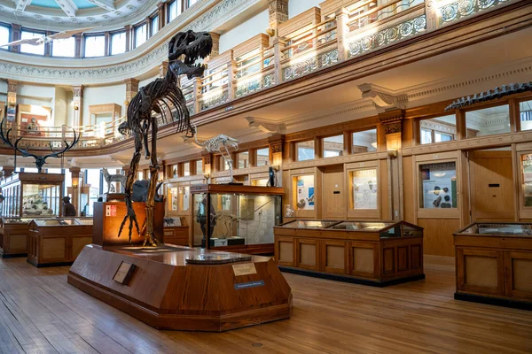 McGill Üniversitesi kampüsündeki Redpath Müzesi manzarası. Montreal, Kanada - 18 Aralık 2025.