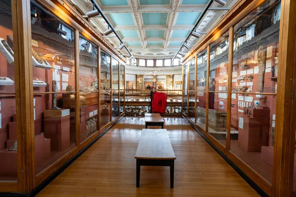 McGill Üniversitesi kampüsündeki Redpath Müzesi manzarası. Montreal, Kanada - 18 Aralık 2025.