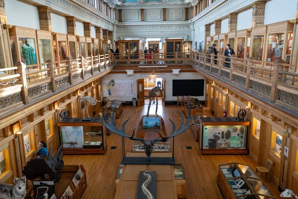 McGill Üniversitesi kampüsündeki Redpath Müzesi manzarası. Montreal, Kanada - 18 Aralık 2025.