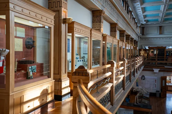 McGill Üniversitesi kampüsündeki Redpath Müzesi manzarası. Montreal, Kanada - 18 Aralık 2025.