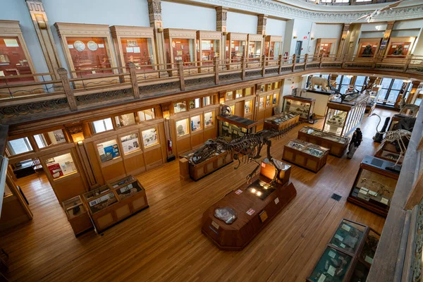 McGill Üniversitesi kampüsündeki Redpath Müzesi manzarası. Montreal, Kanada - 18 Aralık 2025.