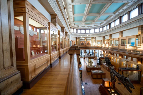 McGill Üniversitesi kampüsündeki Redpath Müzesi manzarası. Montreal, Kanada - 18 Aralık 2025.