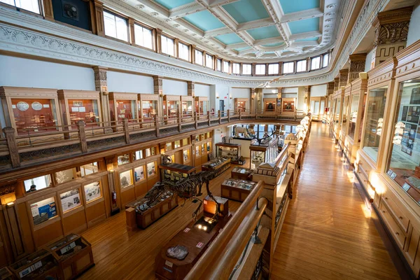 McGill Üniversitesi kampüsündeki Redpath Müzesi manzarası. Montreal, Kanada - 18 Aralık 2025.