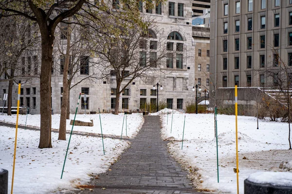 Montreal 'deki McGill Üniversitesi kampüs yolunun kış manzarası. Montreal, Kanada - 18 Aralık 2025.
