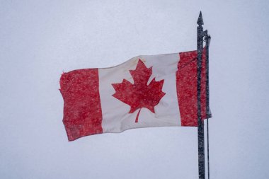 Kar fırtınası sırasında Kanada bayrağının görüntüsü.