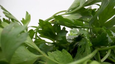 Maydanoz yapraklarını izole et