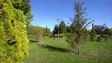 Eskisehir Sazova Parkı 'ndaki ağaçlar