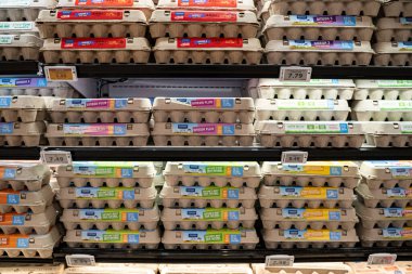 Marketteki buzdolabının raflarında yumurta kutuları var. Toronto, Kanada - 7 Şubat 2026.