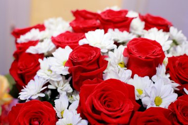 Bir buket gül ve camomiles