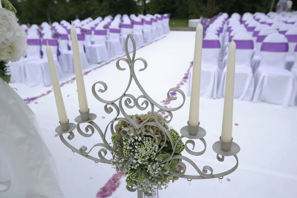 Wedding ceremony in park — Stock Photo, Image