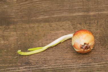 Ahşap arka planda taze soğan. Boşluğu Kopyala