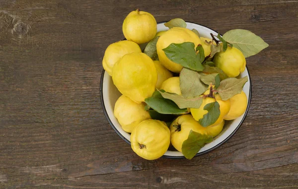 Fresh quince fruits on wooden background. Benefits of quinces