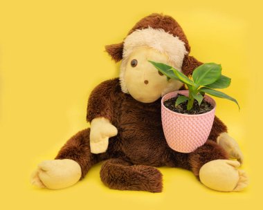 Sarı arka planda muz bitkisi olan peluş maymun.