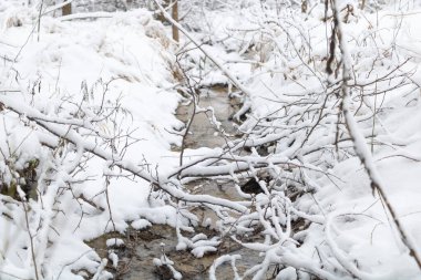 Kış zamanı doğa, kar ve arka planda küçük bir nehir..
