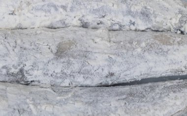 Balığı pişirme sürecinde, un ile ezilmiş. Fotoğrafı kapat..