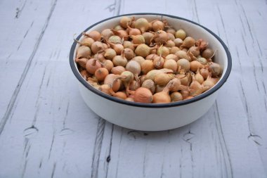 Bahçeye ekmek için küçük soğan tohumları - soğan yayma konsepti