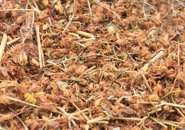 Hipericum perforatum medicinal chá em uma chapa. Benefícios do chá de erva — Fotografia de Stock