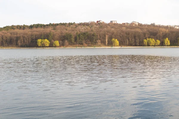 Ein schöner See und ein paar Weiden, die im Frühling grün werden — Stockfoto