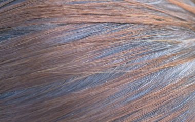 Kadın saçı, boyalı saç ve arkasında gri saç. Seçici odak.