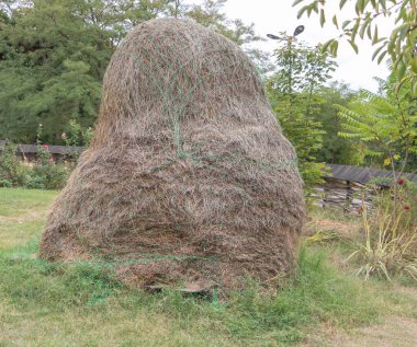 Bulutlu bir günde çimlerle ve ağaçlarla çevrili kırsal bir bahçede yeşil ağlarla bağlanmış büyük bir saman yığını..
