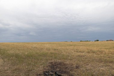 Moldova kırsalında yağmurdan önce kuru çimenler ve dramatik bulutlu gökyüzü ile geniş açık hasat alanı.