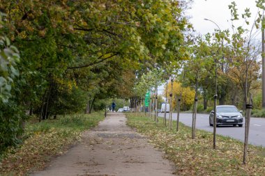 Yolun yanında yeşil ağaçlar ve geçen arabalarla sonbahar kaldırımı - Chisinau, Moldova - 11 Ekim 2025.